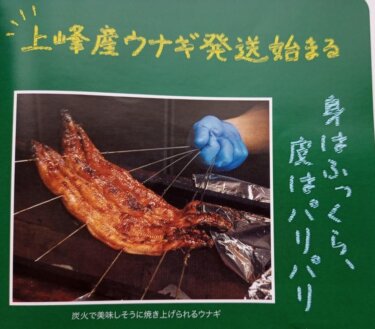 【ふるさと納税】土用の丑は上峰町（佐賀県）の鰻で決まり、さとふるでポイントをもらいながら寄付